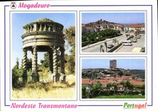 CPM Mogadouro Nordeste Transmontano 