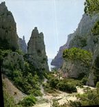 CPM Nos Belles Calanques En Cau et san aiguille 