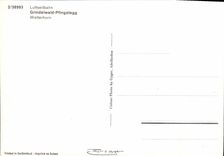 CPM Luftseilbahn Grindelwald Pfingstegg Wetterhorn Teleferique