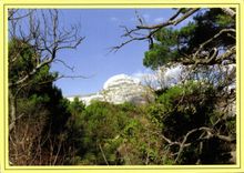 CPM La Colline d'Enfance de Pagnol Le Garlaban Aubagne 