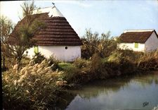 CPM La Camargue Cabane de Gardian 