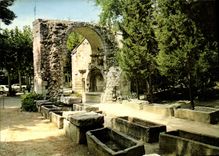 CPM Arles Les Aliscamps L'Allee des Tombeaux reste de la celebre necropale 