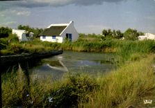 CPM En Camargue Avec les Gardians Au Milieu des Marais une cabanne toute blanche au toit de roseaux 