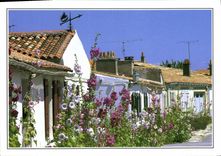 CPM Ile d'Aix Ruelle typique avec ses Roses Tremieres 