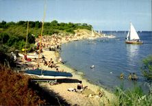 CPM Couleurs et Lumiere de France Ile De Re Charente Maritime La Plage de Trousse Chemise et son boi