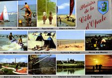 CPM Plaisirs de la Cote d'Opale Chars a voiles Golf Chasse aux canards Peche aux moules