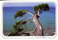 CPM Calanques 