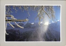 CPM Les Joies de la neige 