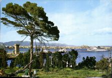CPM Mallorca Palma Vista general 