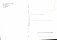 CPM Mallorca Palma Vista general 