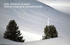 CPM Joie bonheur et sante tout au long de la nouvelle annee 