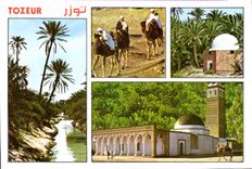 CPM Tunisie Oasis de Tozeur 