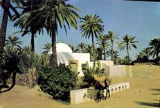 CPM Gabes Oasis Die Oase 
