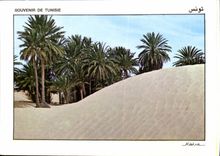 CPM Souvenir de Tunisie 