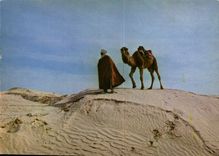 CPM Sud Tunisien Chamelier sur la dune 