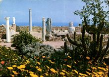 CPM Carthage Tunisie l'Antiquarium 