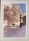 CPM Les joies de la neige 