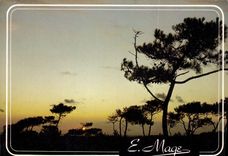 CPM Regard sur le Littoral de la Manche et de la Mer du Nord 