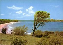 CPM Martinique le Sud de l'Ile Plage des Solines et ilet Cabrits 