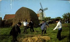 CPM Folklore Maraichin Le Bouquet d'Ajoncs Bois de Cene Vendee Fleaux Battage au fleau devant la bar