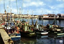 CPM Les Sables d'Olonne Le Port Bateaux de peche
