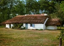 CPM Bourrine en Vendee 