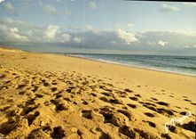CPM Visage des Landes La plage au soleil couchant 