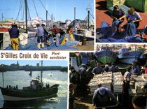 CPM St Gilles Croix de Vie Port Sardinier Bateaux Peche