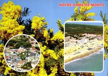 CPM Notre Dame de Monts 