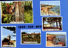 CPM Jard sur Mer Ecureuil Ragounitte Moulin Bellevue