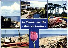 CPM La Tranche sur Mer Cote de Lumiere 