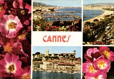 CPM La Cote d'Azur Inoubliable Cannes 