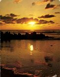 CPM Visage des Landes Coucher de soleil sur l'Ocean 