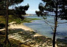 CPM Visage des Landes Douceur de nos Lacs 