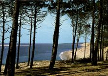 CPM Visage des Landes Bord de Mer 