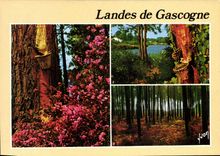 CPM Landes de Gascogne 