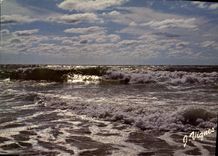 CPM Visage des Landes Reflets d'Argent sur l'Ocean Atlantique 