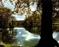 CPM Visage des Landes Quand vient l'Automne sur nos etangs 