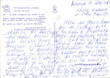 CPM Paysages des Landes Coucher de Soleil