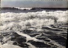 CPM Visage des Landes Cote d'Argent Landaise Vagues 