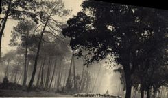 CPM Les Landes de Gascogne 