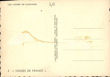 CPM Les Landes de Gascogne 
