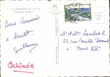 CPM La Basilique de Lisieux Panorama general 