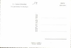 CPM Lisieux Calvados Vue generale et la Basilique 