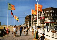 CPM Trouville sur Mer Calvados ses Planches 