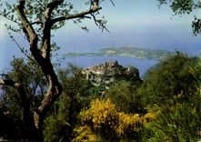 CPM Les Sites Merveilleux de la Cote d'Azur AM 