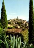 CPM La Cote d'Azur miracle de la nature Saint Paul de Vence Alpes Maritimes 