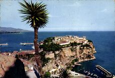 CPM Monaco Le Rocher de Monaco vu du Jardin Exotique 