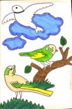 CPM Oiseaux (dessin a la main)