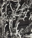 CPM Les Alpes vues par Giet Effets de givre